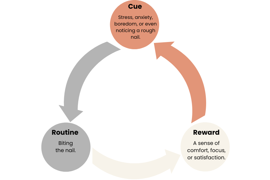 Habit loop for nail biters